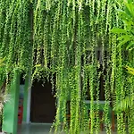 Purnama House Kuta