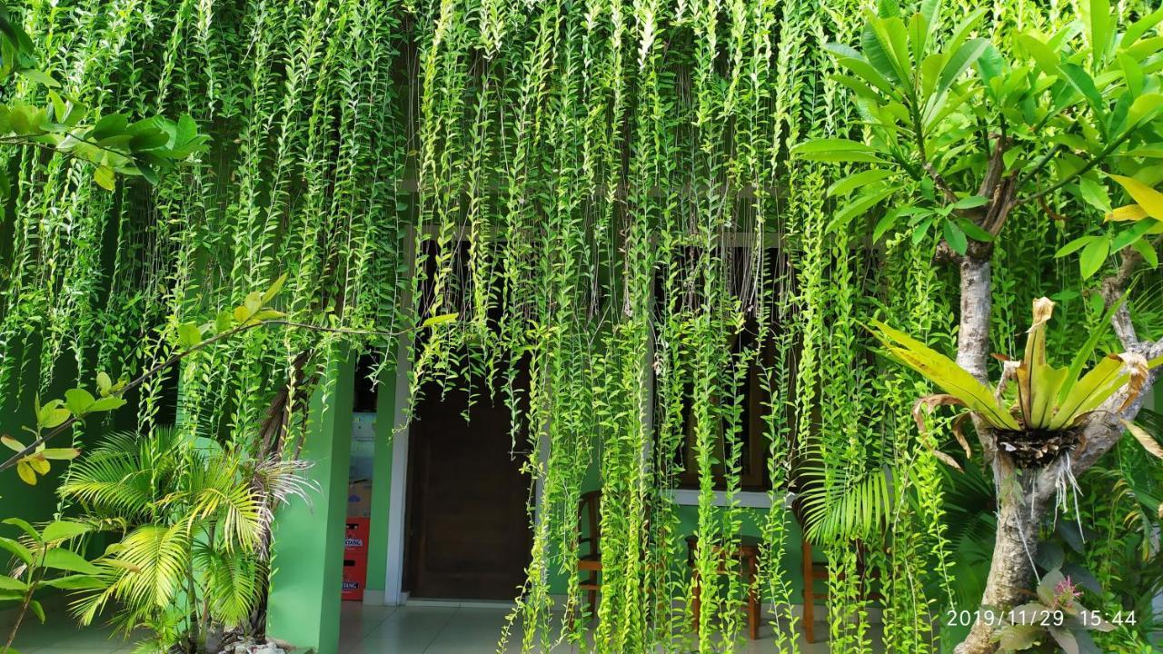 Guest house Purnama House Kuta Kuta (Bali)